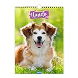 Trötsch Classickalender Hunde 2024: Wandkalender