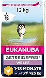Eukanuba Welpenfutter getreidefrei mit Huhn für große Rassen - Trockenfutter ohne Getreide für Junior Hunde, 12 kg