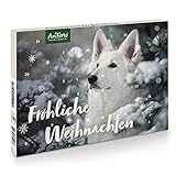 AniForte Adventskalender für Hunde 2022 - Natürliche Hundesnacks getreidefrei, Leckerli ohne Farb- & Konservierungsstoffe, Weihnachtskalender mit Zellstoff-Einlage