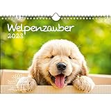 Welpenzauber DIN A4 Kalender für 2023 Hunde Welpen - Seelenzauber