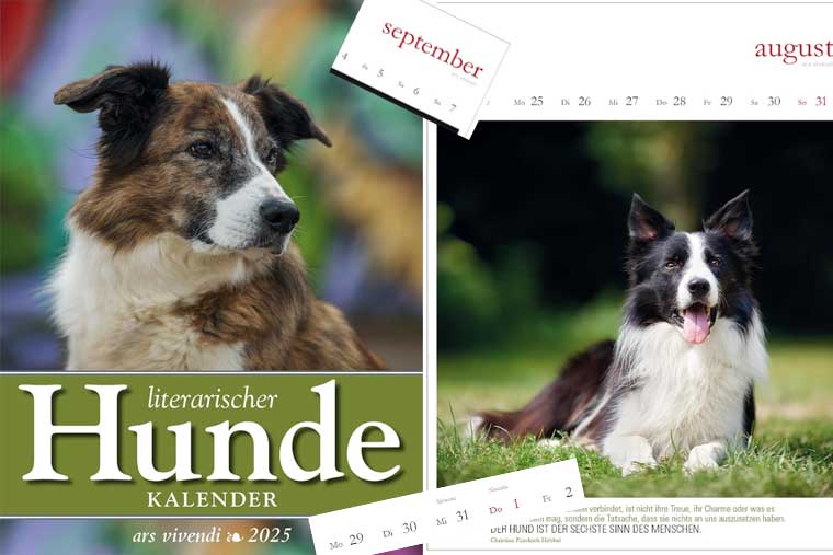 Bilder aus dem Literarischen Hundekalender 2025.