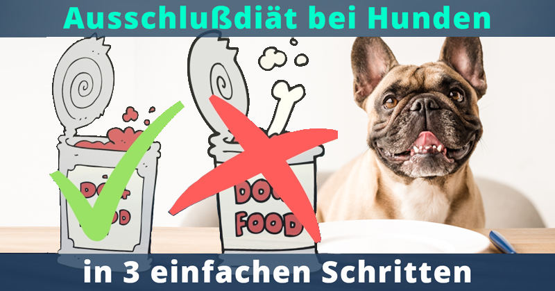 Ausschlussdiät beim Hund