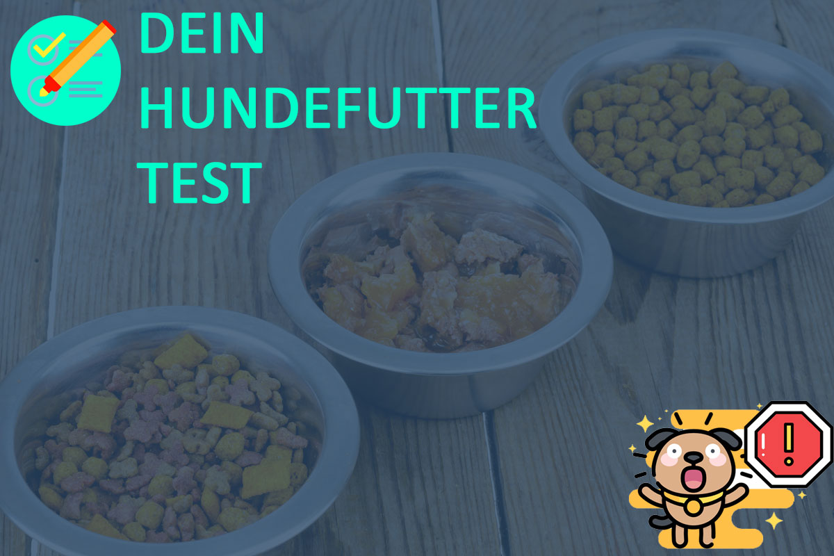 Hundefutter zum Testen.