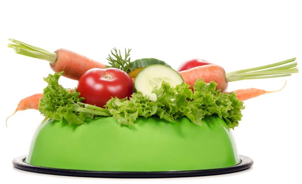Gurken und anderes Gemüse im Hundenapf. Dürfen Hunde Gurken essen? Ja, das ist nicht nur erlaubt, sondern auch sehr gesund. Gurken und anderes Gemüse im Hundenapf.