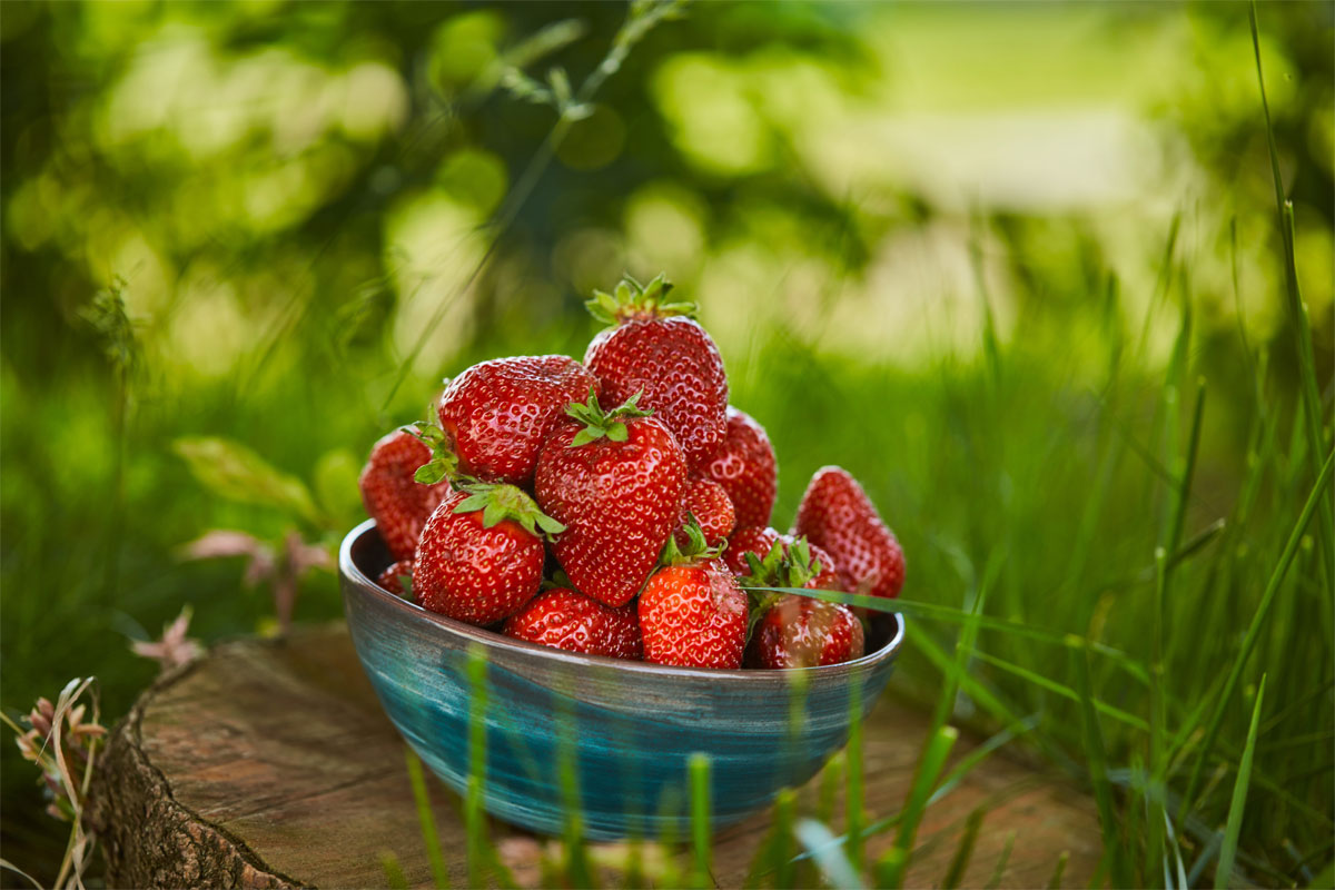 Selbstgemachte Hundekekse mit Erdbeeren