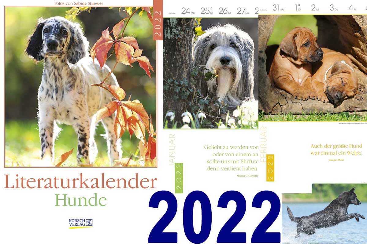 Collage aus Kalenderseiten Literaturkalender Hund 2022