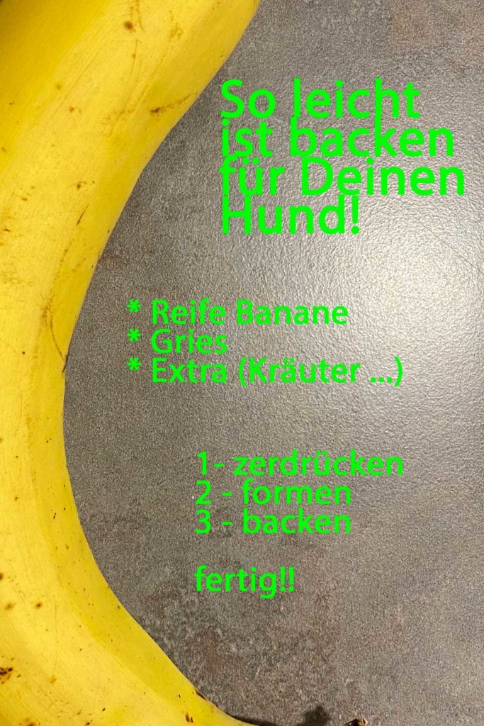 Rezept Bananen-Kekse für Hunde.