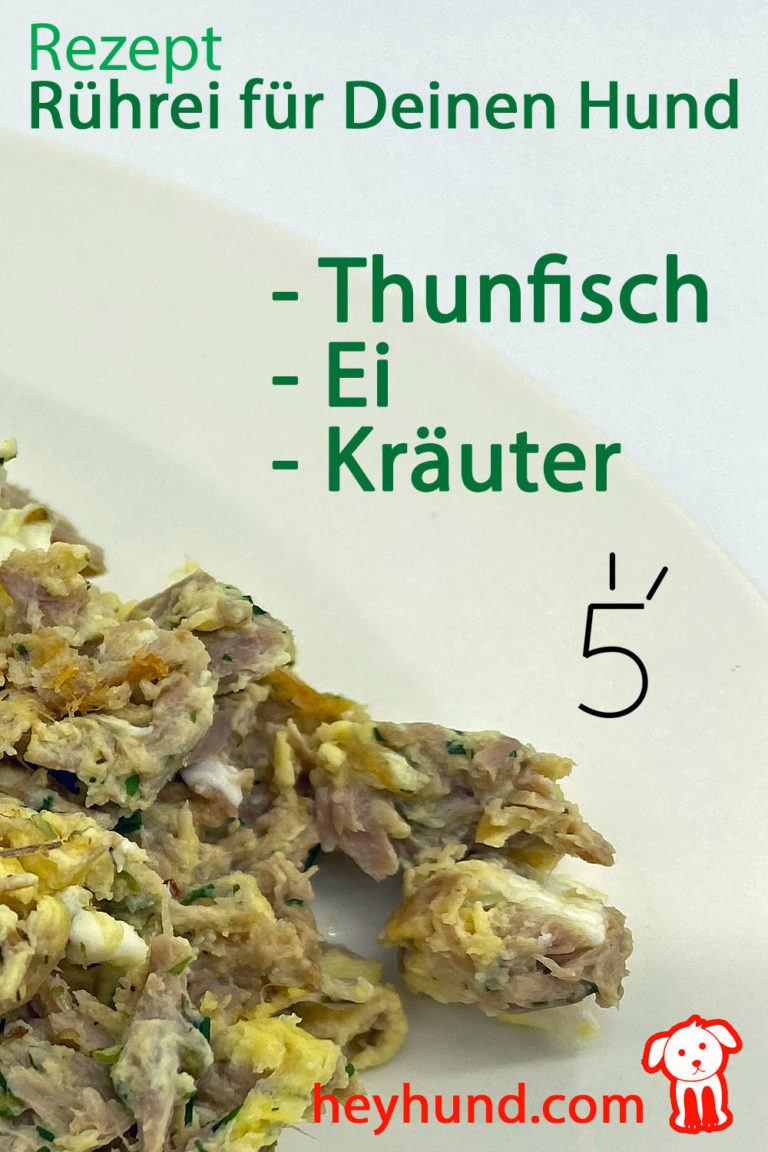 Rezept für Rührei mit Thunfisch Heyhund Für beide Enden der Leine