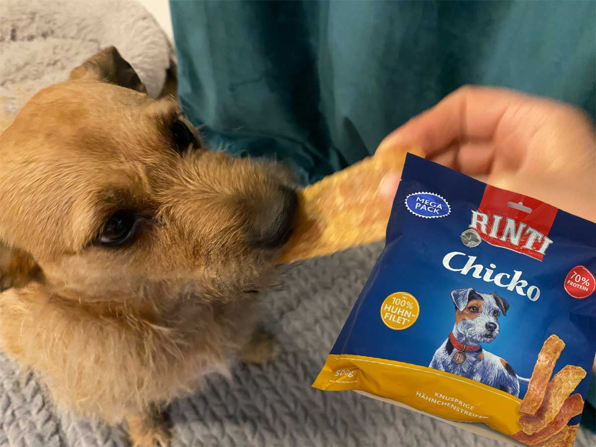 Hund möchte den Rinti Hundesnack. Fotocollage mit der Rinti-Tüte.