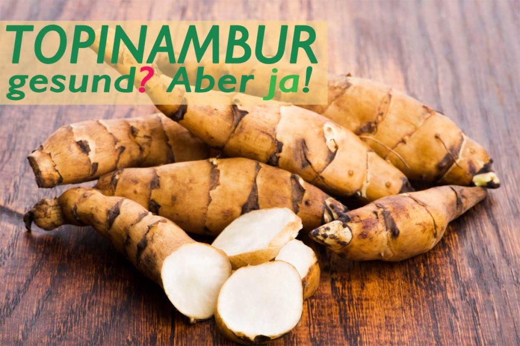 Topinambur als Wurzel und aufgeschnitten. Beschriftet mit: Topinambur gesund? aber ja!